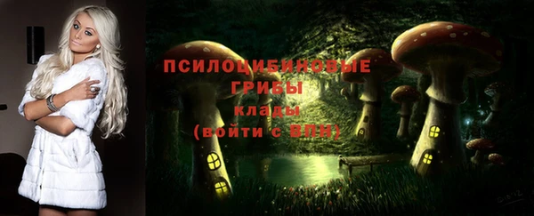 соль курить ск Арсеньев