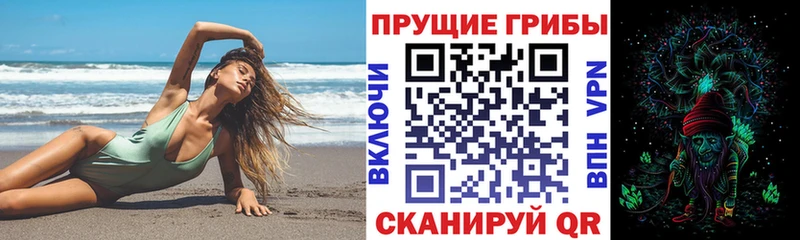 Псилоцибиновые грибы GOLDEN TEACHER  Сортавала 