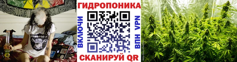 Конопля AK-47  ссылка на мегу tor  Сортавала  купить  цена 